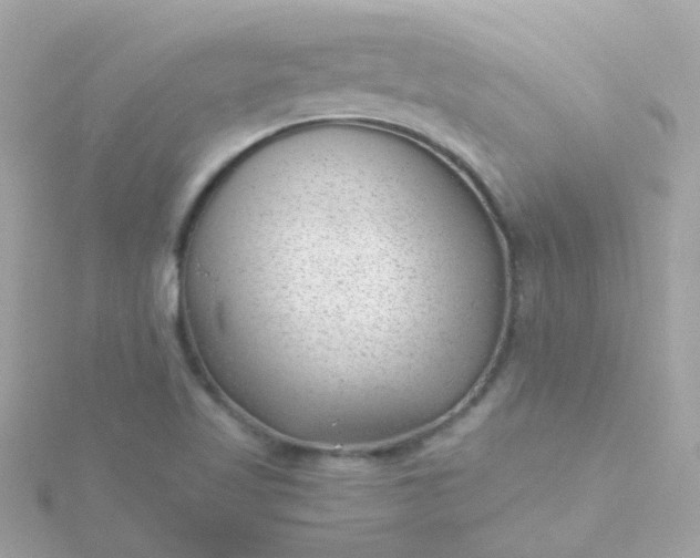 X0000115681509200911251740