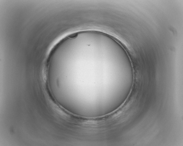 X0000115681510200911251740