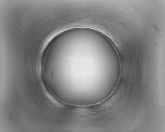 X0000115681511200911251740