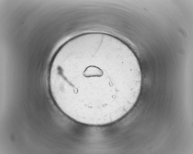 X0000115681514200911251740