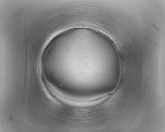 X0000115681515200911251740