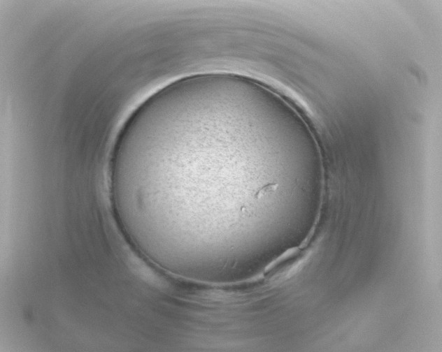 X0000115681517200911251740