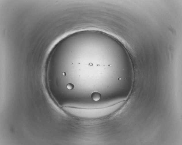 X0000115681518200911251740