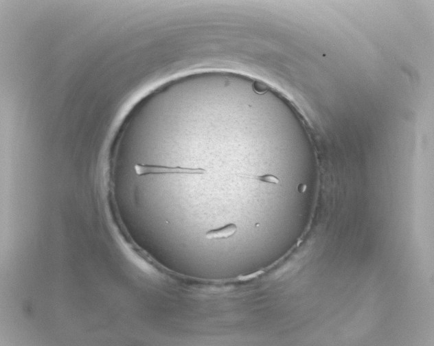 X0000115681519200911251740