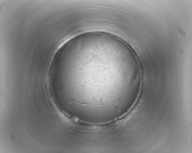 X0000115681521200911251740