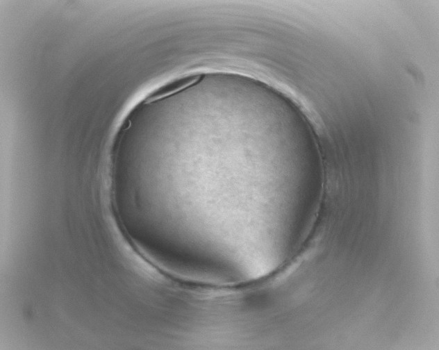 X0000115681522200911251740