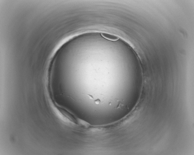 X0000115681523200911251740