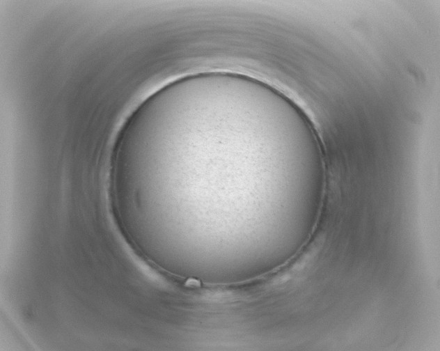 X0000115681525200911251740