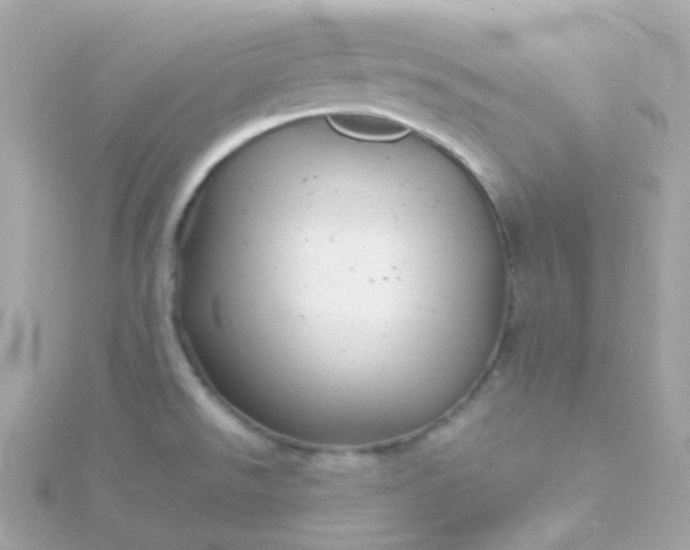 X0000115681526200911251740