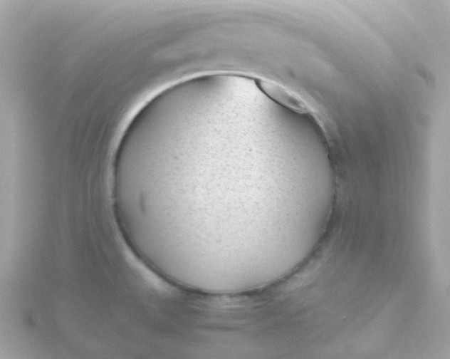 X0000115681527200911251740