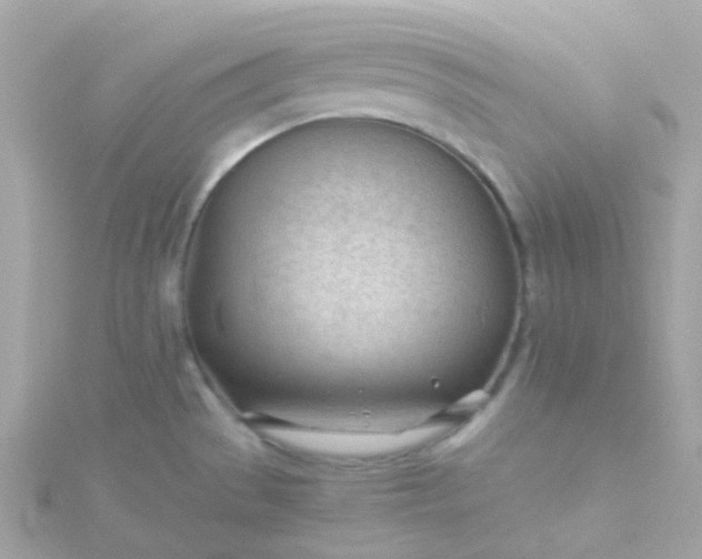 X0000115681529200911251741