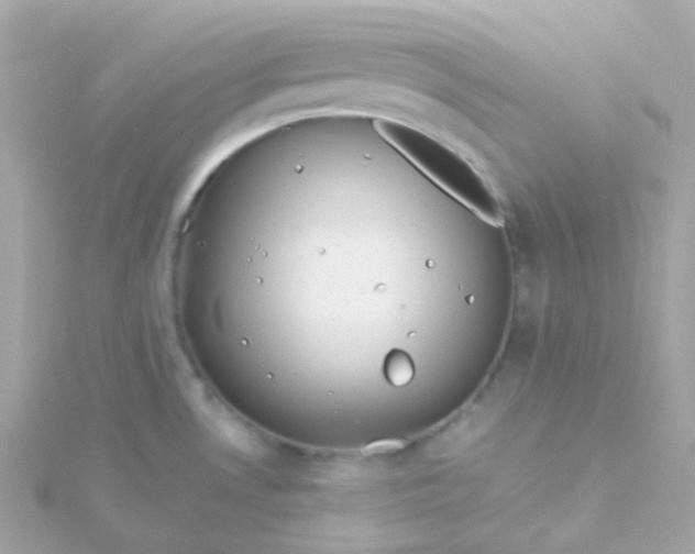 X0000115681530200911251741