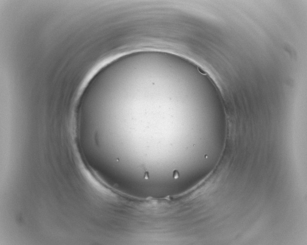 X0000115681531200911251741