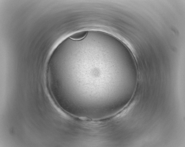 X0000115681533200911251741