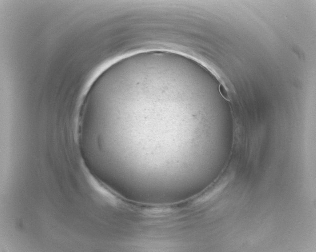 X0000115681535200911251741