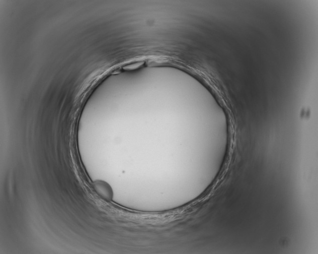 X0000115680001200912031430