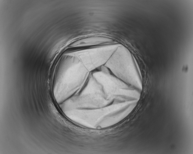 X0000115680002200912031430