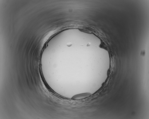 X0000115680003200912031430