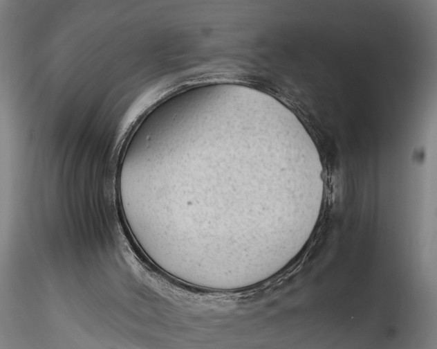 X0000115680004200912031430