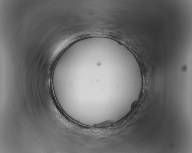 X0000115680005200912031430