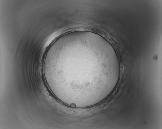 X0000115680006200912031430