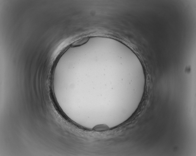 X0000115680007200912031430