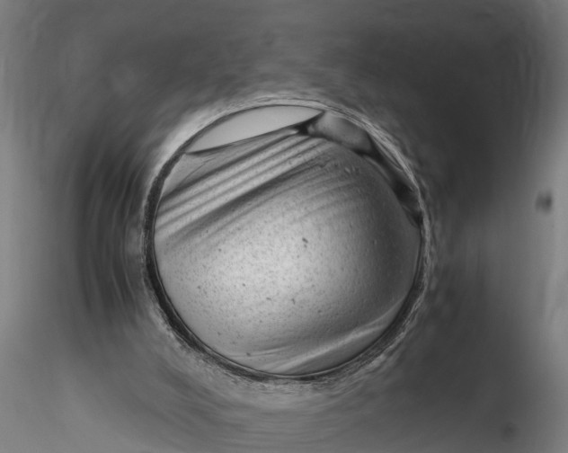 X0000115680008200912031430