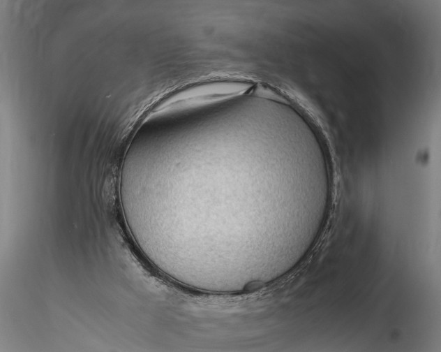 X0000115680009200912031430