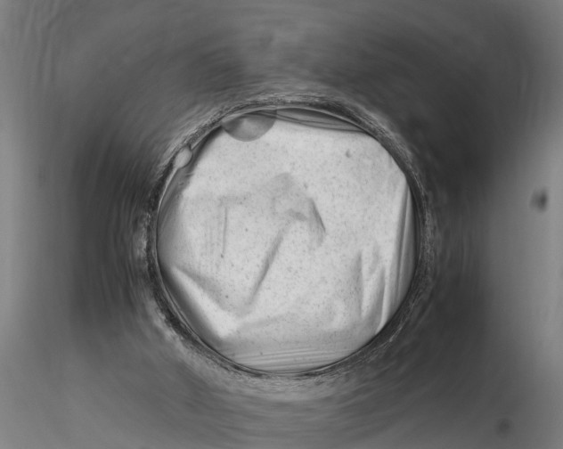 X0000115680010200912031430