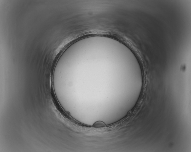 X0000115680011200912031430