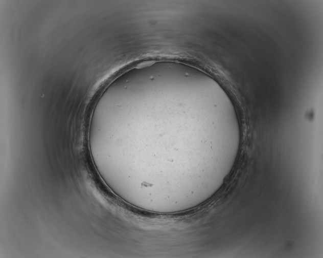 X0000115680012200912031430