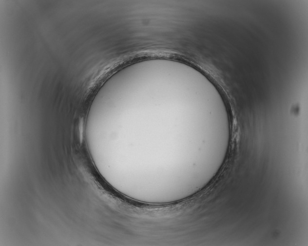 X0000115680013200912031430