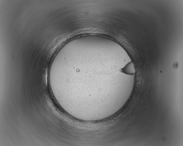 X0000115680014200912031430