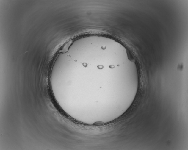 X0000115680015200912031430