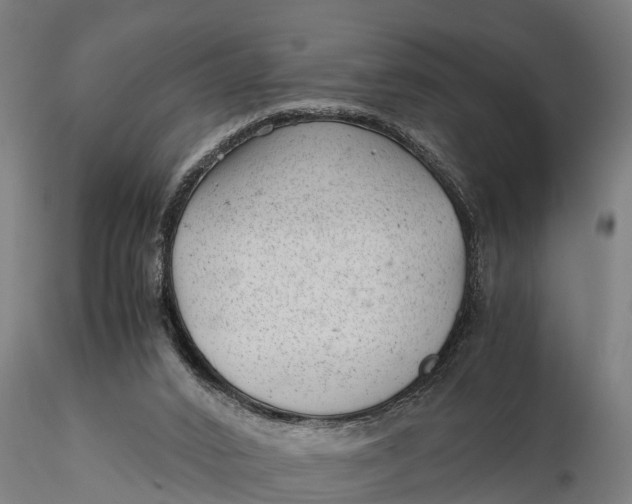 X0000115680016200912031430