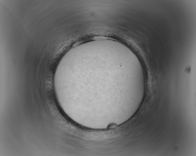 X0000115680017200912031430