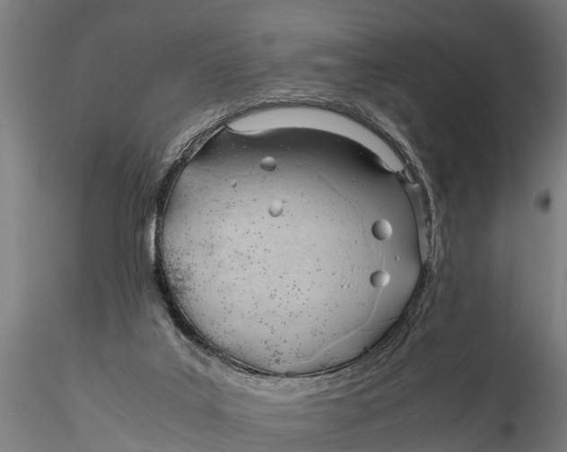 X0000115680019200912031430