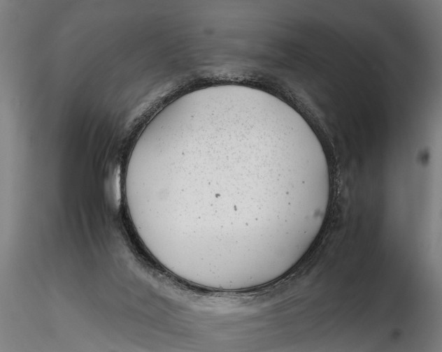 X0000115680020200912031430