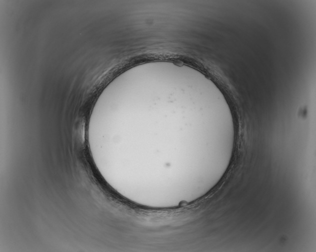 X0000115680021200912031430