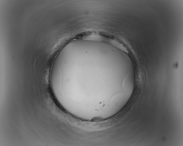 X0000115680023200912031430