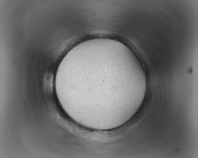 X0000115680024200912031430