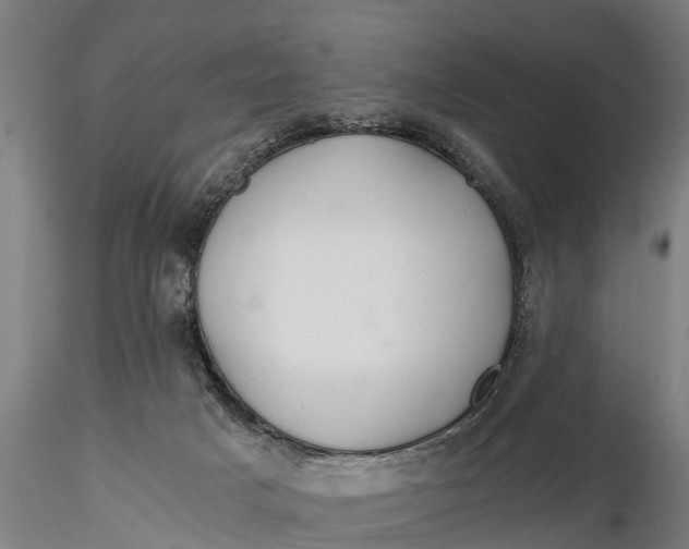 X0000115680025200912031430