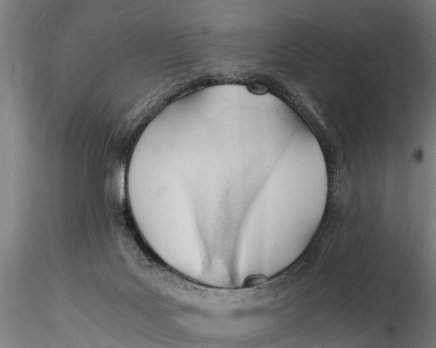 X0000115680027200912031430