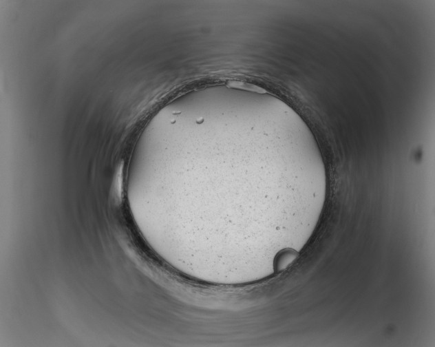 X0000115680028200912031430