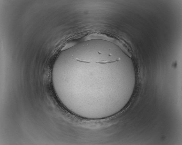 X0000115680029200912031430