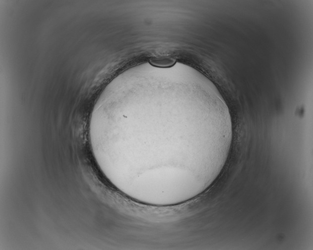 X0000115680031200912031430