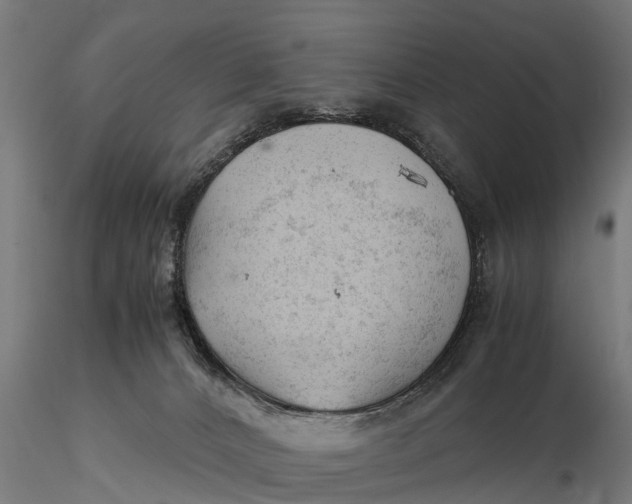 X0000115680032200912031429