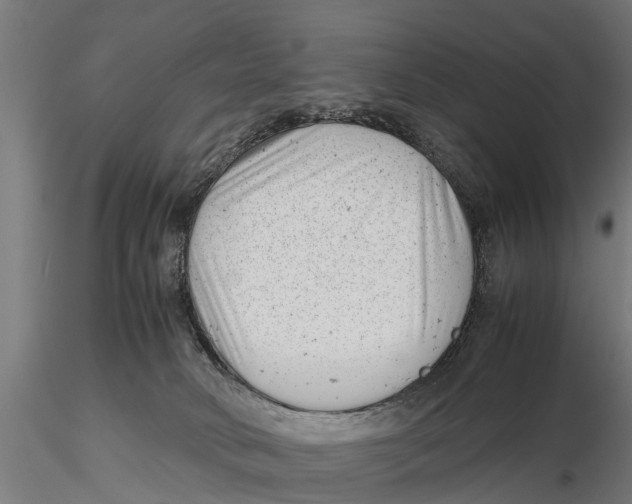 X0000115680034200912031429