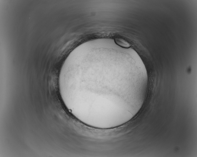 X0000115680035200912031429