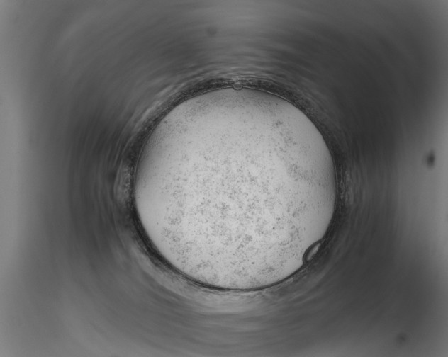 X0000115680036200912031429